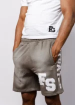 FS Shorts Grey (1)